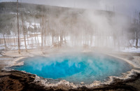Norris Geyser Basin
