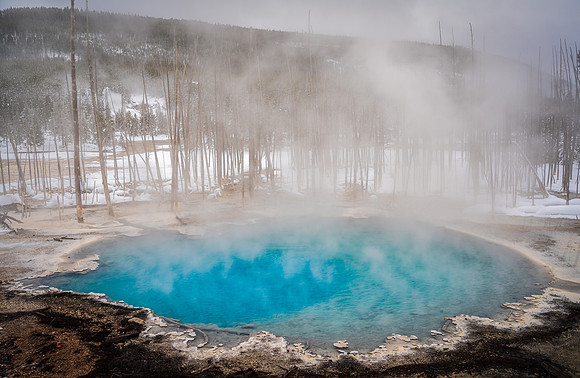 Norris Geyser Basin