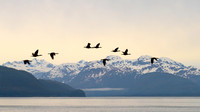 Inside Passage