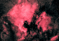 N America Nebula