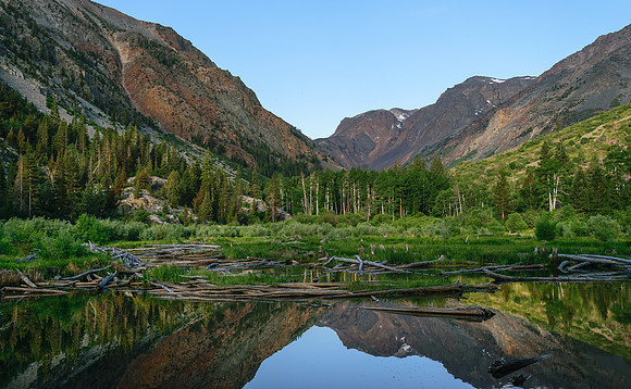 Lundy Canyon, elev. 8200 ft