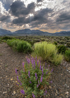 June Lake Loop