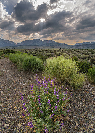 June Lake Loop