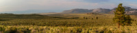 Mono Lake Basin, elev 6400 ft