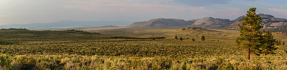 Mono Lake Basin, elev 6400 ft