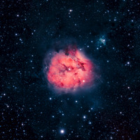 Cocoon Nebula